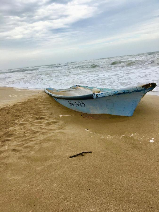 Beach, Wine, Dining, Sports, Summer, Winter Sérignan Exterior foto