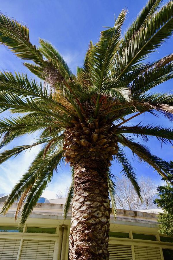 Beach, Wine, Dining, Sports, Summer, Winter Sérignan Exterior foto